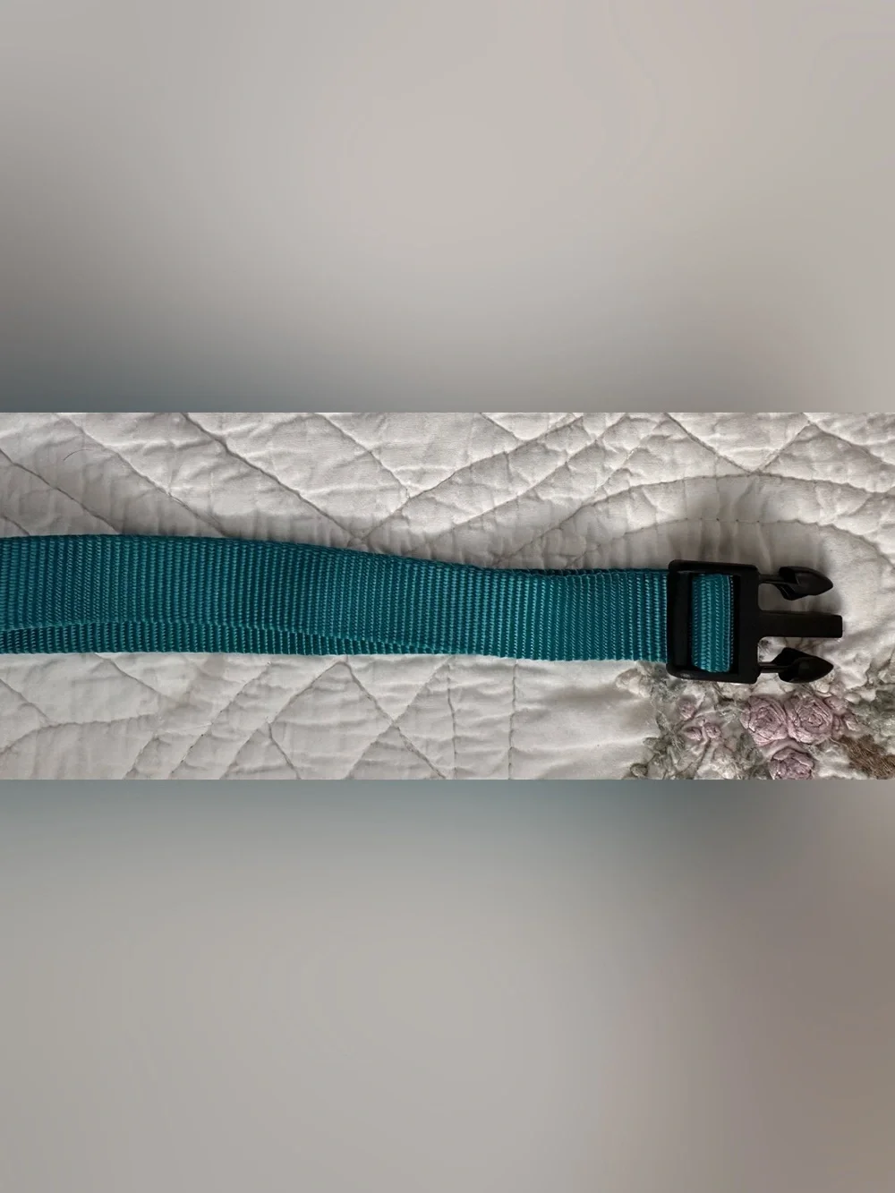 New~Hamilton Dog Collar